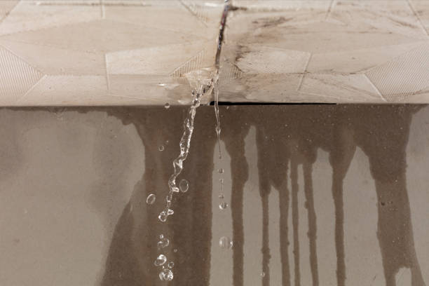 Professional Burst Pipe Cleanup technician working in Northeast Harbor, ME